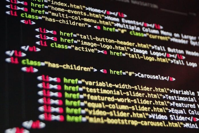 Top Coding Skills to Master in 2024